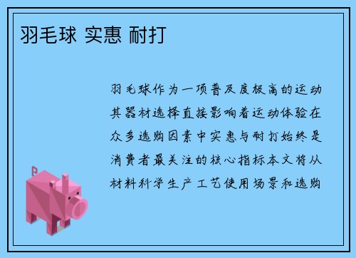 羽毛球 实惠 耐打